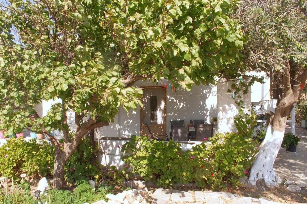 Anastasia'S House Ysterni Isterni  외부 사진